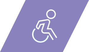 Wheelchair icon